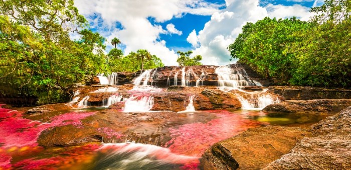 boleto caño cristales