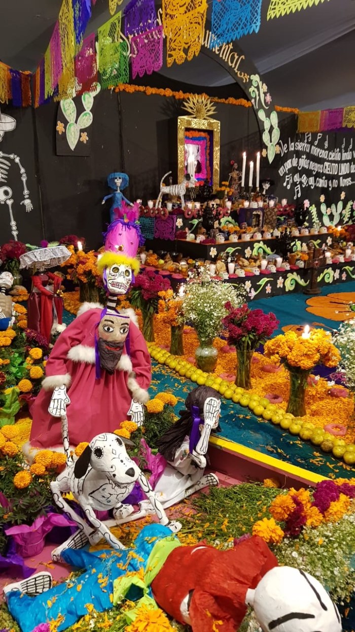 61831c9f-5849-4908-8d92-821007e25046