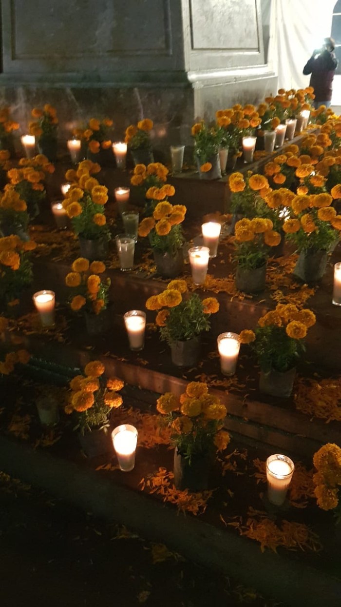 d1084087-85c4-495b-9e2a-033887ede305